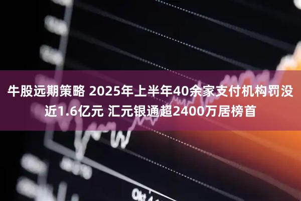 牛股远期策略 2025年上半年40余家支付机构罚没近1.6亿元 汇元银通超2400万居榜首