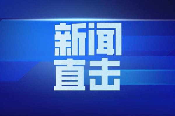 无锡恒鑫配资 野生鸟类集中放归行动举行48只鸟儿回归蓝天