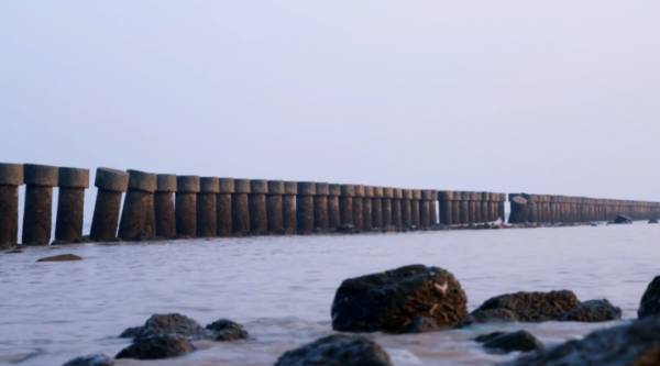 牛道配资 青春华章丨矗立黄海之滨80余年，盐城宋公堤：烽火77天筑就“民心长城”