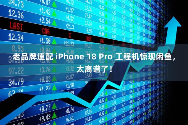 老品牌速配 iPhone 18 Pro 工程机惊现闲鱼，太离谱了！